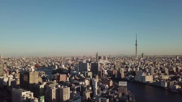 Sonnenaufgang aus der Luft in Tokio — Stockvideo