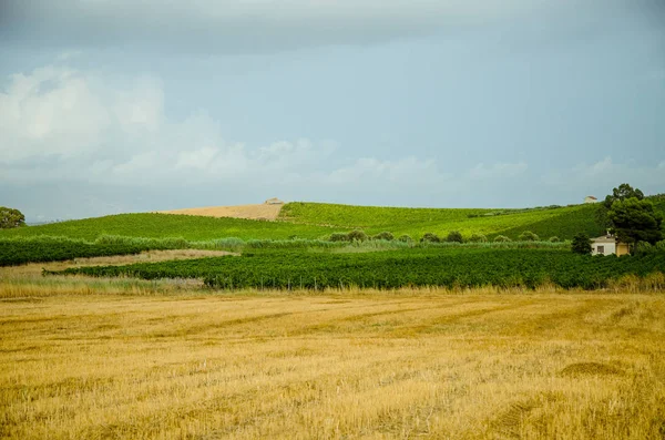 Paisaje en Sicilia, Menfi (Ag ) — Foto de Stock