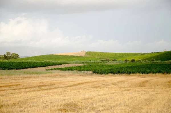 Paisaje en Sicilia, Menfi (Ag ) — Foto de Stock