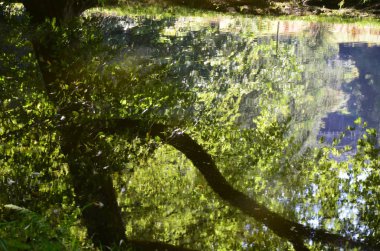 Kassel, Almanya 'daki Wilhelmshoehe Kalesi Parkı