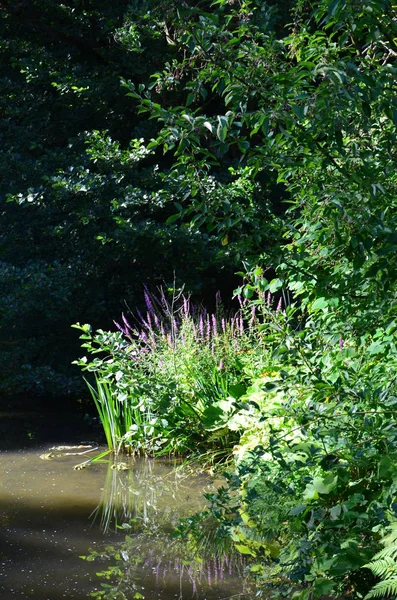 Park Zamkowy Wilhelmshoehe Kassel Niemcy — Zdjęcie stockowe