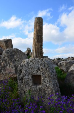 selinunte, İtalya-Sicilya arkeolojik park