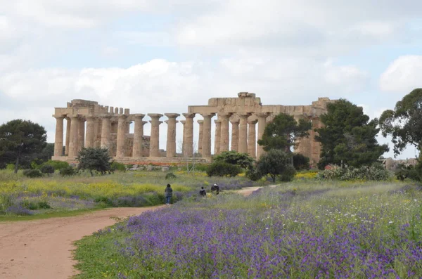 Parco Archeologico Selinunte Sicilia Italia — Foto Stock