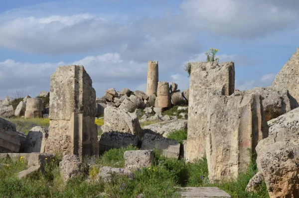 Archeologický Park Selinunte Sicílie Itálie — Stock fotografie