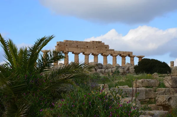 Parque Arqueológico Selinunte Sicilia Italia —  Fotos de Stock