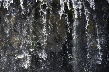 Kassel, Almanya 'daki Wilhelmshoehe Kalesi Parkı