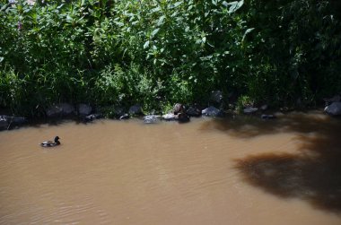 Marburg Gölü, Almanya