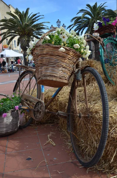 Photo Decorative Bicycle Flowers — Stock Photo, Image