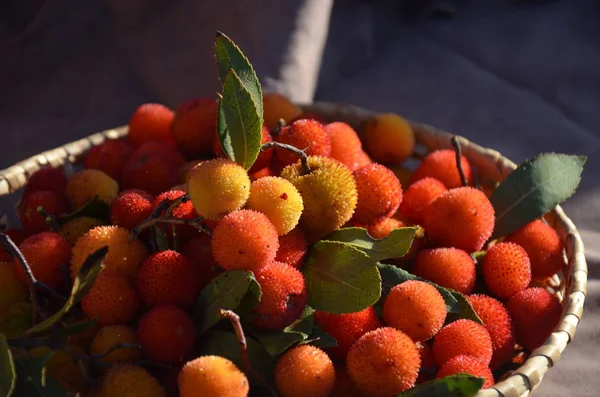 Frutti Rossi Arbutus Unedo — Foto Stock