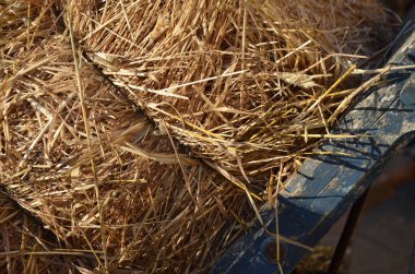 Straw Briquette Doku Güneşli Gün Kapanışı