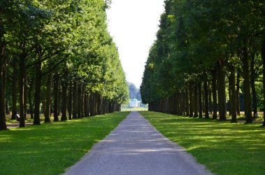 Kassel Merkez Parkı, Almanya