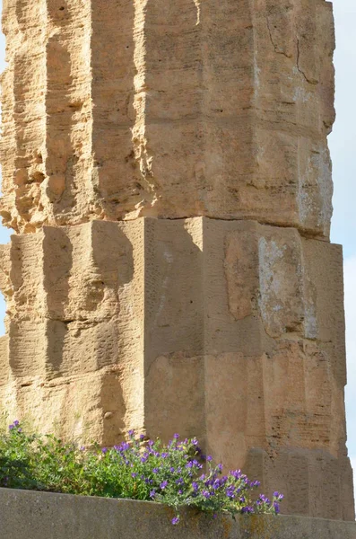 Archaeological Park Selinunte Sicily Italy — Stock Photo, Image