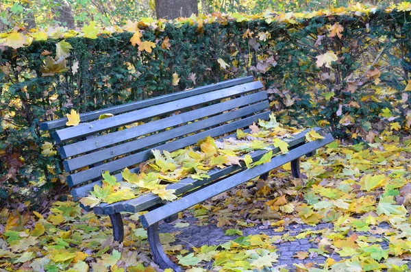 Parco Del Tiergarten Berlino — Foto Stock