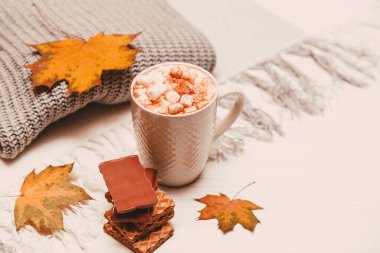 Örgü kazak, lokum ve sarı yapraklı kakao ile sonbahar kompozisyonu