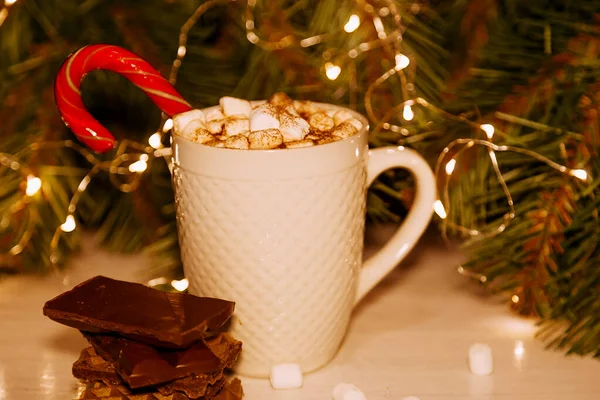 Hot cocoa with marshmallows, cream and cookies on holiday christmas background — Stock Photo, Image