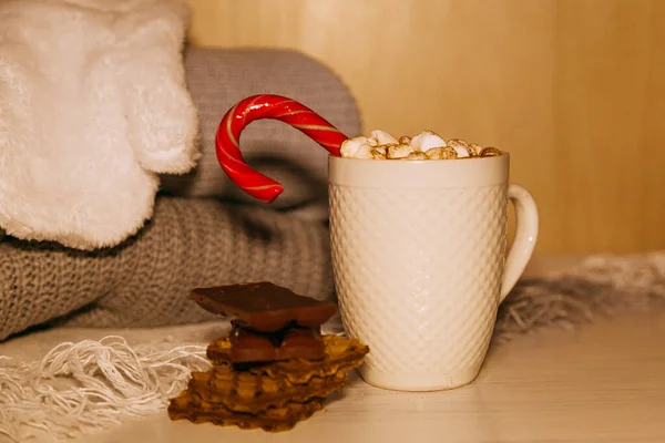 Kakaó kényelmes téli otthoni háttér, csésze forró kakaó cookie-kkal, meleg kötött pulóver — Stock Fotó