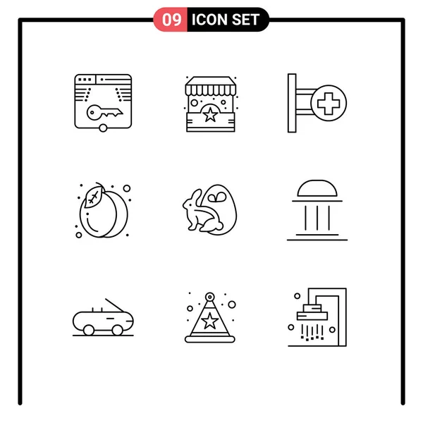 Conjunto Icones Modernos Símbolos Sinais Para Ovo Verão Stand Comida — Vetor de Stock