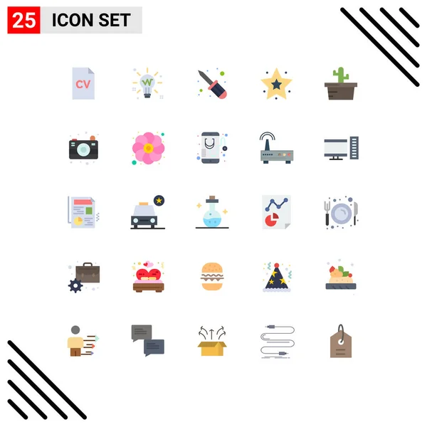 Conjunto Icones Modernos Símbolos Sinais Para Verão Cacto Brilho Estrela —  Vetores de Stock