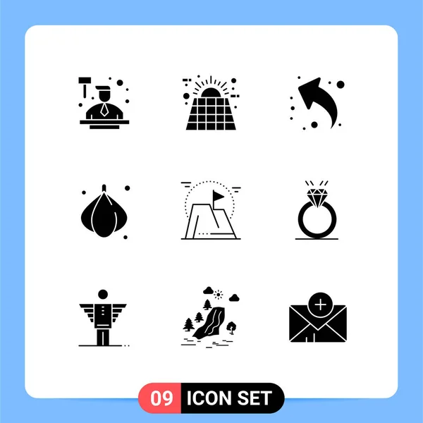 Solid Glyph Pack Uniwersalnych Symboli Flagi Warzyw Energii Cebuli Lewo — Wektor stockowy