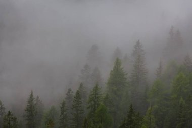 Dolomitlerin güzelliği. İtalya