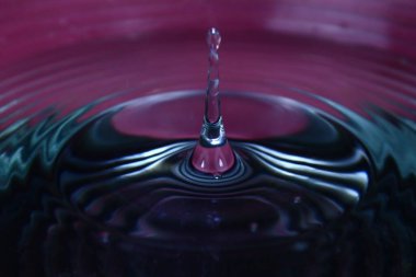 Yakın plan fotoğrafta su damlaları var.