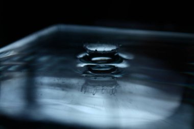 Yakın plan fotoğrafta su damlaları var.