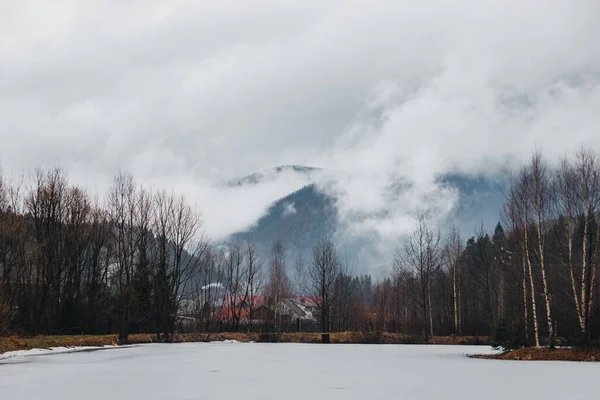 Slapend Karpaten Bos Karpaten Vallen — Stockfoto