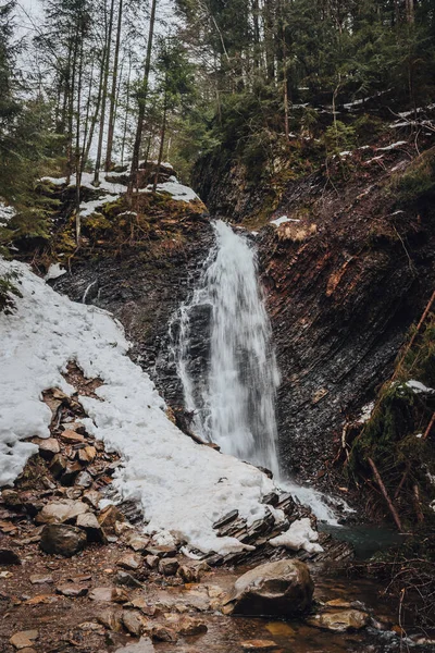 Vilande Karpatskog Karpaternas Fall — Stockfoto