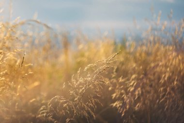 Gün batımları dağların üzerinde güzel, güzel Karpatlar, bulutların içindeki dağlar, şelale, yakın çekim.