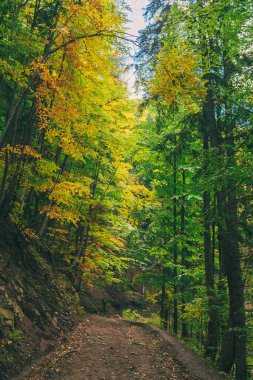 Gün batımları dağların üzerinde güzel, güzel Karpatlar, bulutların içindeki dağlar, şelale, yakın çekim.