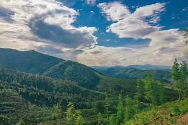 Gün batımları dağların üzerinde güzel, güzel Karpatlar, bulutların içindeki dağlar, şelale, yakın çekim.