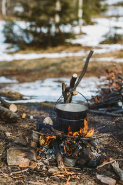 Bahar ormanı, dağlar, makro, göl, kayalar