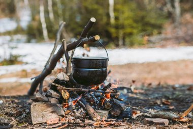 Bahar ormanı, dağlar, makro, göl, kayalar