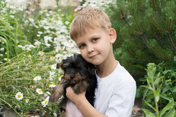 Garçon et chien — Photo