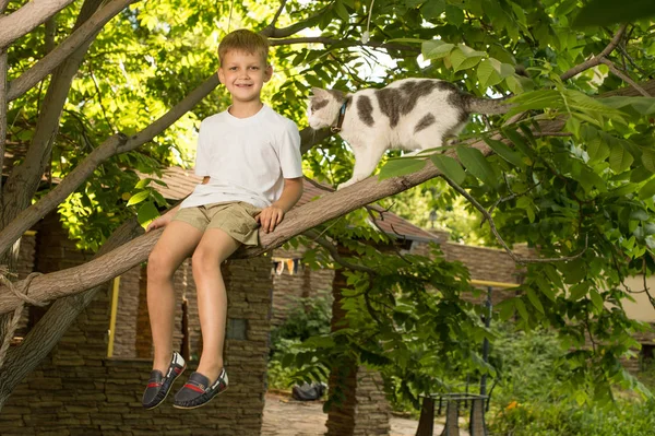 Garçon assis sur la branche de l'arbre — Photo