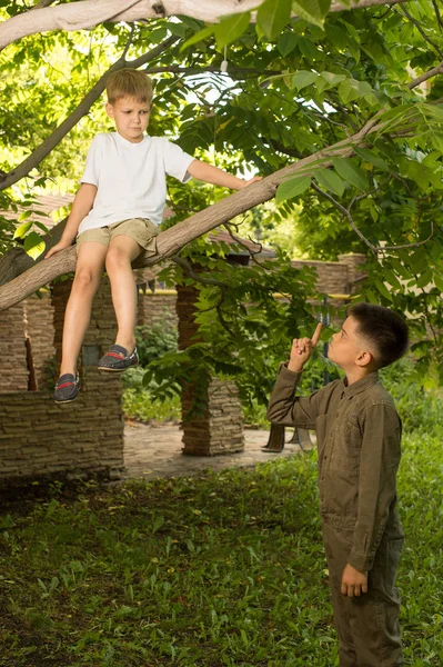 El chico se sienta en la rama del árbol — Foto de Stock