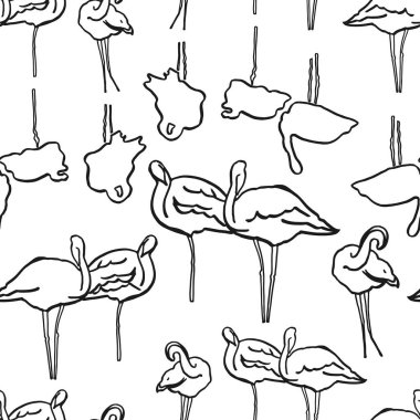 Basit flamingo ana hatlarını çiz.