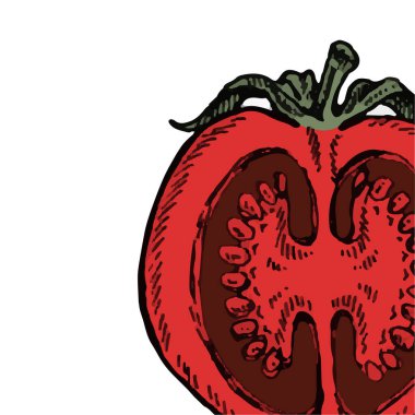 Elle çizilmiş domates kümesi. Eco organik gıda.