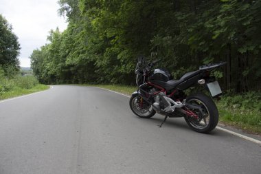 Orman bir asfalt yolda motosiklet binme sürücü.