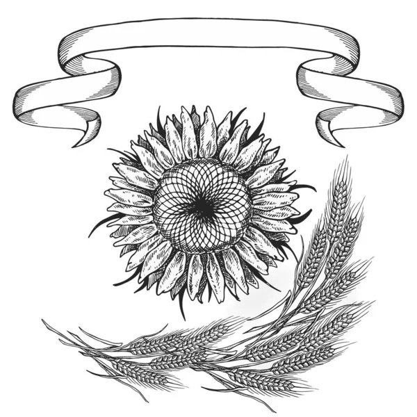 Sonnenblumen Illustration Schwarz Weiß Auf Isoliertem Hintergrund — Stockvektor