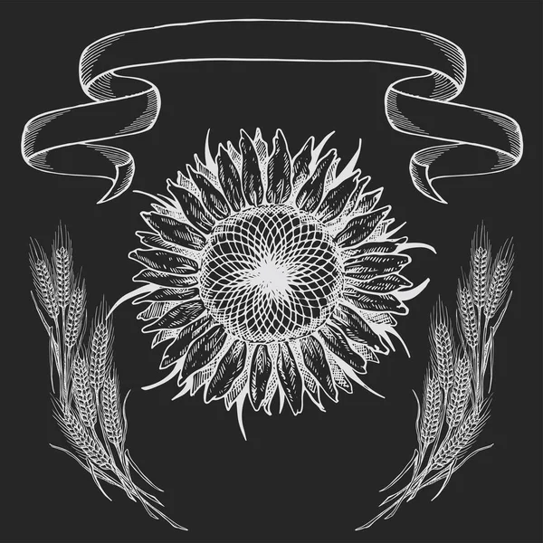 Composition Picture Sunflower Illustration Black White Isolated Background Chalk Drawing — Διανυσματικό Αρχείο