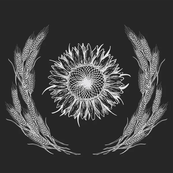 Zusammensetzung Des Bildes Sonnenblumen Illustration Schwarz Weiß Auf Isoliertem Hintergrund — Stockvektor
