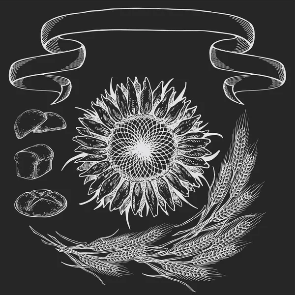 Composition Picture Sunflower Illustration Black White Isolated Background Chalk Drawing — Διανυσματικό Αρχείο