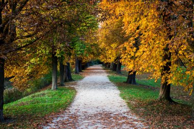 Yunan çürük duvar