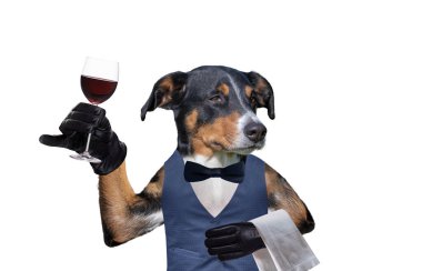 Bir bardak şaraplı köpek garson. Beyaz arkaplanda izole edilmiş
