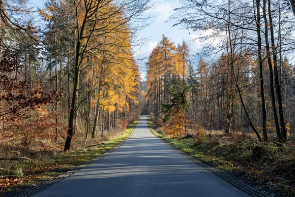Spring road, countryside in Germany - Taunus