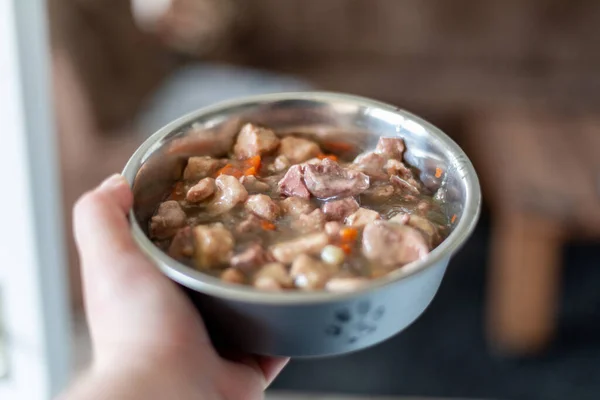 Wet Food Dogs Cats Silver Bowl — Stock Photo, Image