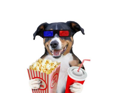 Patlamış mısırlı komik köpek. beyaz arkaplanda izole.