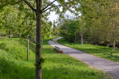 Frankenthal 'daki güzel yeşil bahar parkı.