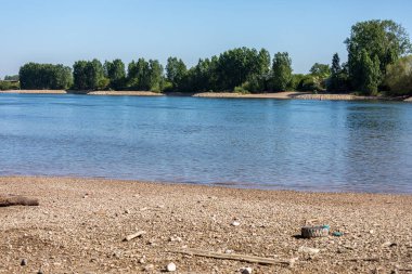 Almanya 'da Worms yakınlarında uzanan nehir.